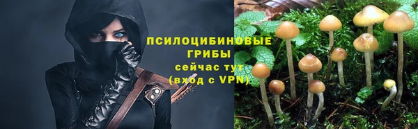 первитин Балахна