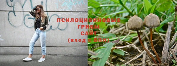 кокс Балабаново