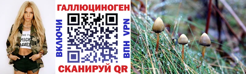Галлюциногенные грибы Magic Shrooms  купить наркотик  мега зеркало  Северо-Курильск 